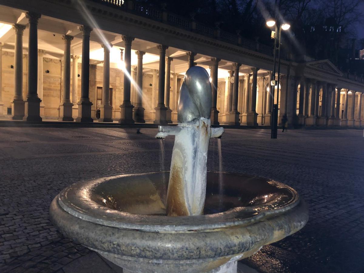 Apartment Bohemia Karlovy Vary Ngoại thất bức ảnh